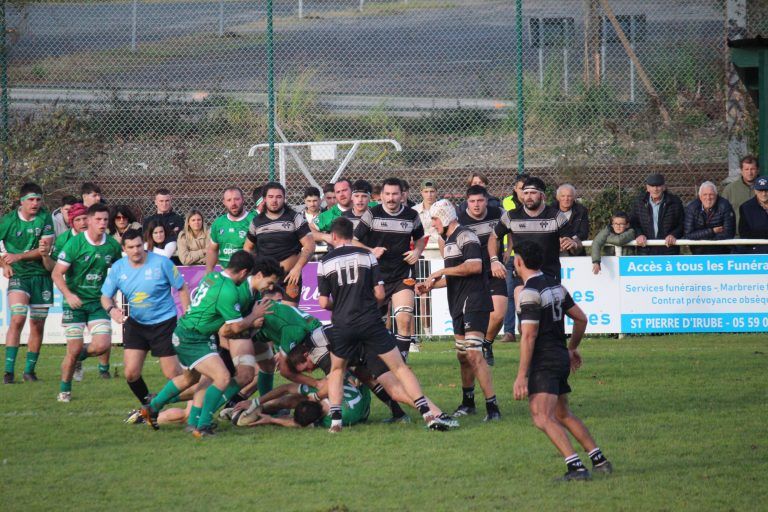 Les Verts sur le plateau